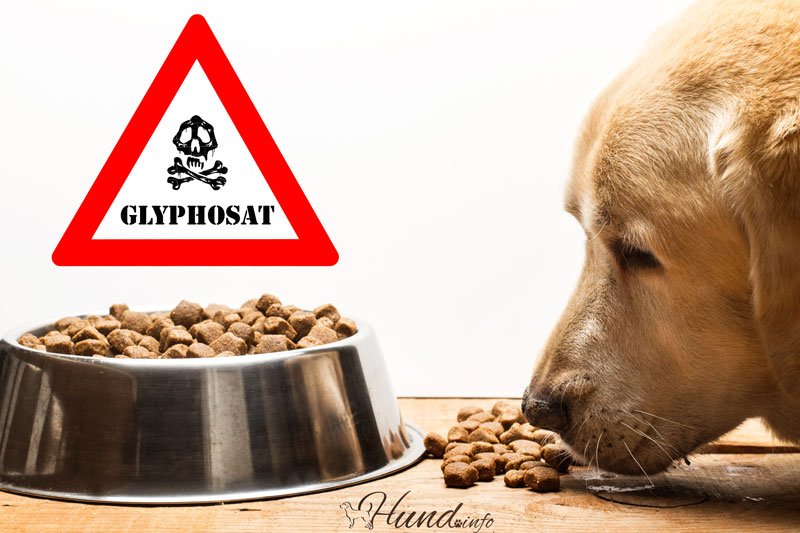 Glyphosat im Hundefutter