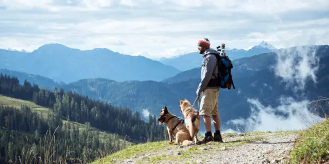 Wanderurlaub mit Hund