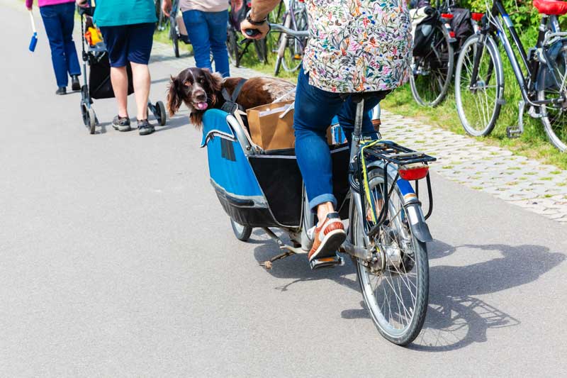 Fahrradtour mit Hund