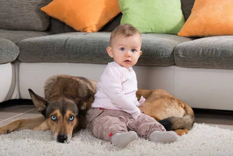 Baby und hund